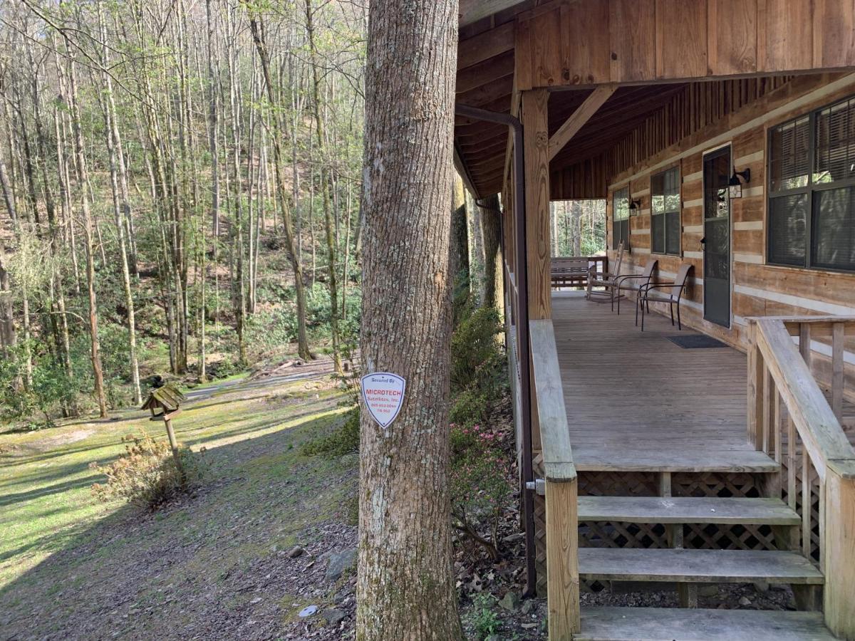 Little Mountain Hideaway Cabin Pigeon Forge Dış mekan fotoğraf