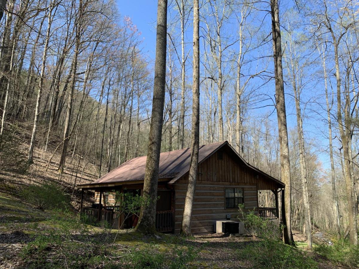 Little Mountain Hideaway Cabin Pigeon Forge Dış mekan fotoğraf